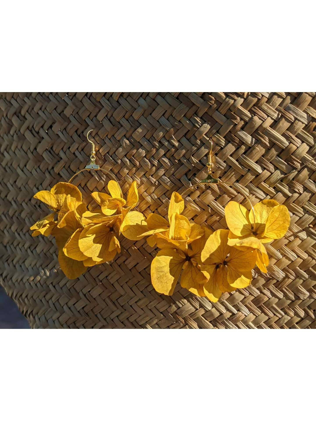 Créoles en fleurs stabilisées, Hortensia jaune