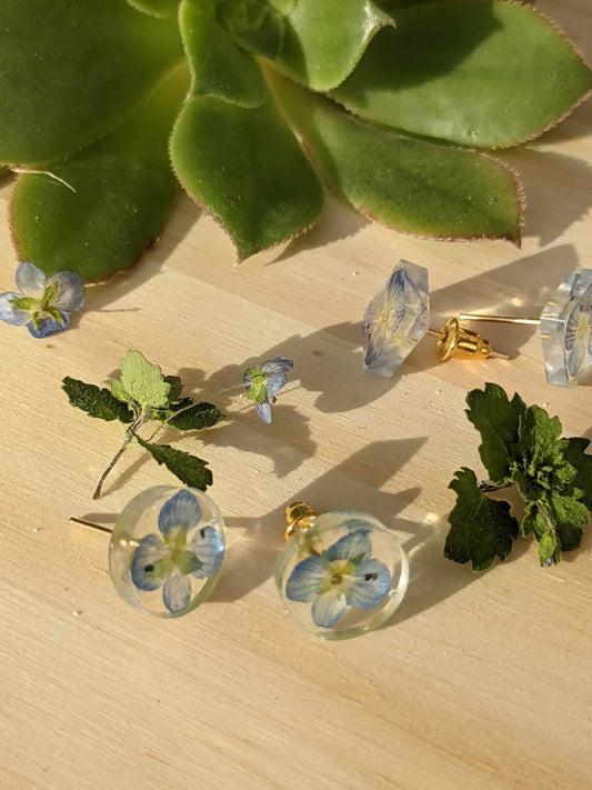Boucles d'oreilles puces en résine de véritables petites fleurs bleues