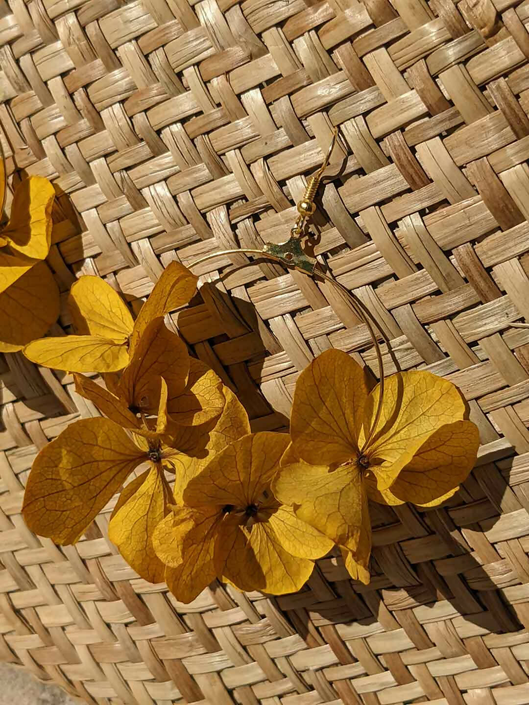 Créoles en fleurs stabilisées, Hortensia jaune